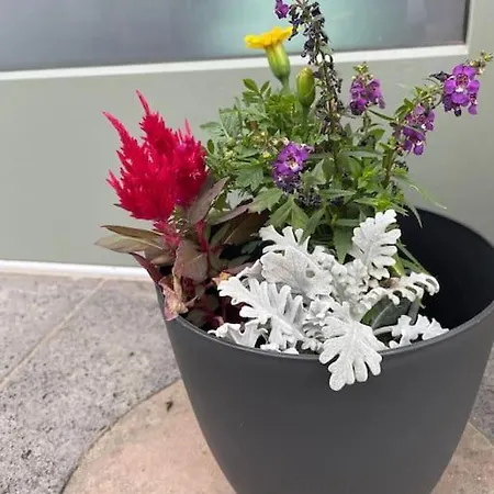 Mya Lenas 아파트 Irrel