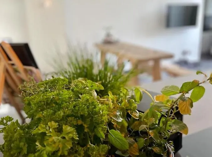 Mya Lenas Апартаменты